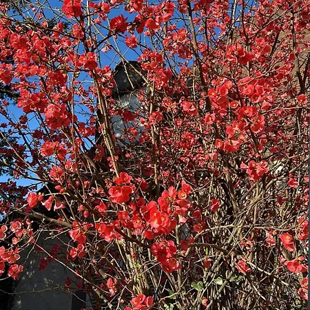 Chateau De Sampigny - 10 Min De Clermont-ferrand Apartament